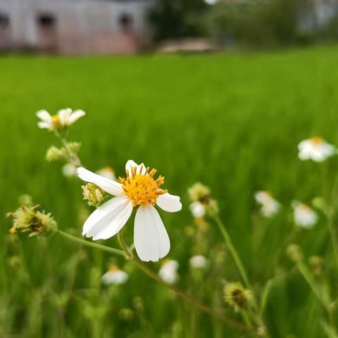 当中秋节遇上教师节