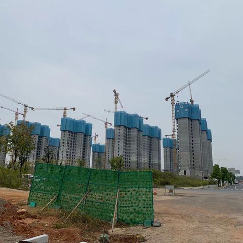 【津桥华府二期】雪后❄️的样子