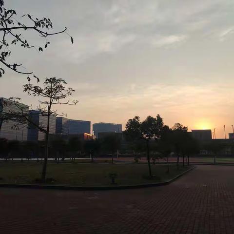 实践磨砺，助推成长