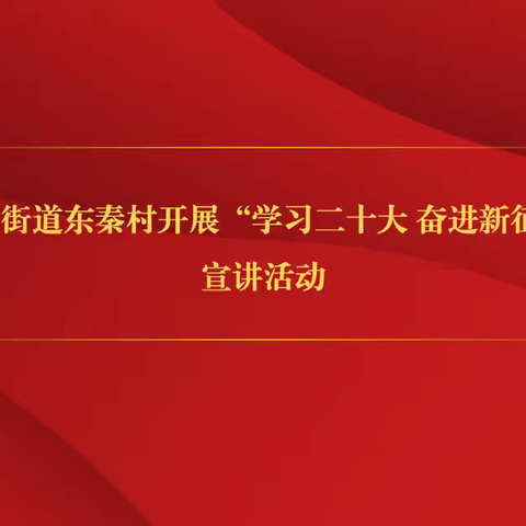 桑梓店街道东秦村开展“学习二十大 奋进新征程”宣讲活动