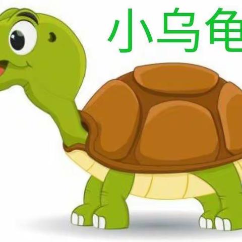 金色阳光幼儿园11月份中班主题《小乌龟》致家长一封信
