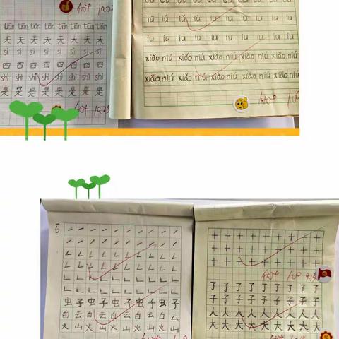 教师个人工作反思