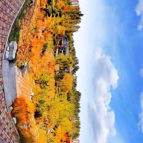 植物园里秋色美