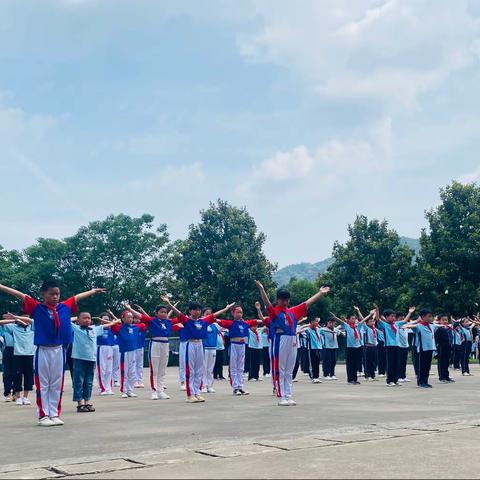 莺歌五月，家中书香满堂飘