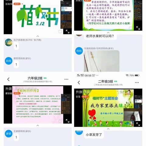 我为家里添点绿———昌平路小学植树节活动进行时