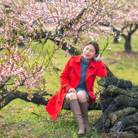 春来花枝俏