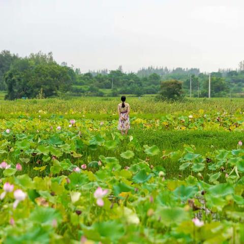 微雨黄昏