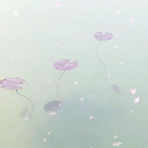 阿芳的美篇：感悟心理学中的几种效应，
