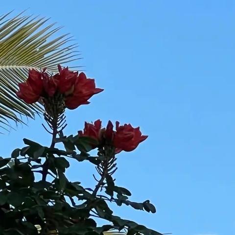 阿芳的美篇：跌倒一爬起