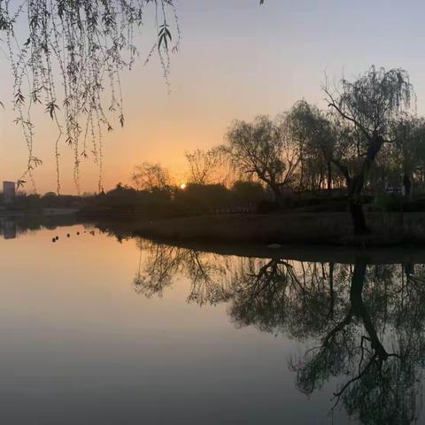 阿芳的美篇：不负周末好时光！