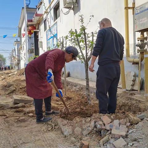 村庄绿化——共建生态宜居美丽岗上