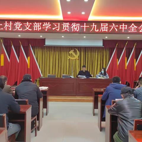 岗上村党支部学习贯彻十九届六中全会精神