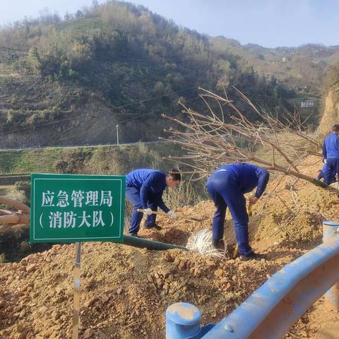 共建绿水青山 守护美好家园——紫阳大队积极参加义务植树活动