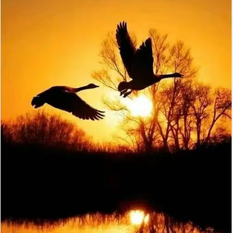 “八个一”让魏书生教育思想“细水长流”