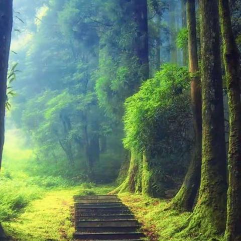 十二感官之触觉