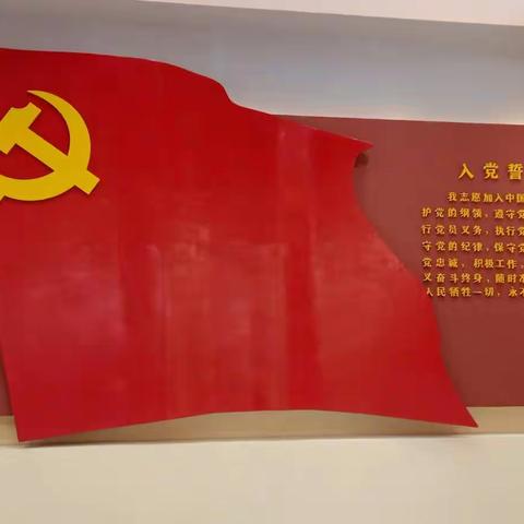 “学习百年党史，汲取奋进力量”-- 梨香小学、十中党支部联合开展走进党史馆开展5+X主题党日活动