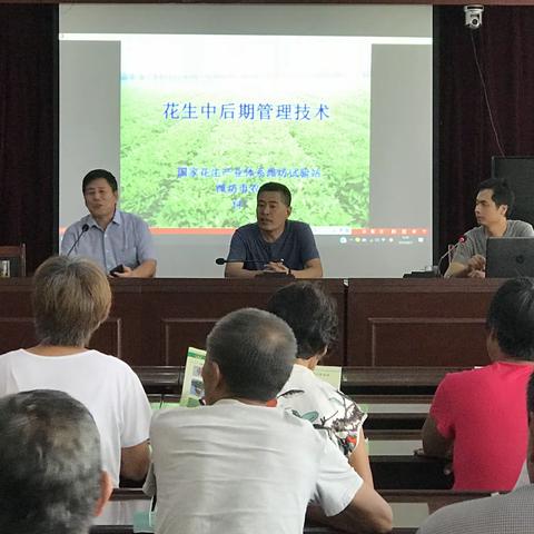 红河镇乡村振兴服务队：开展花生种植培训 提高农民生产能力