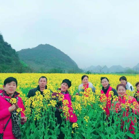 安顺看油菜花一曰游🍎🍎🍎🍇🍇🍇🍓🍓🍓🌽🌽🌽
