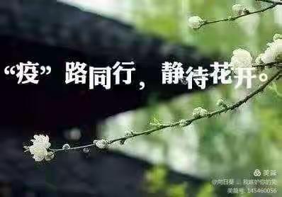 “疫”路同行，静待花开-太平庄镇马铺营幼儿园线上课程纪实