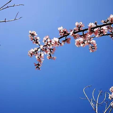 2019年的春天我们来了