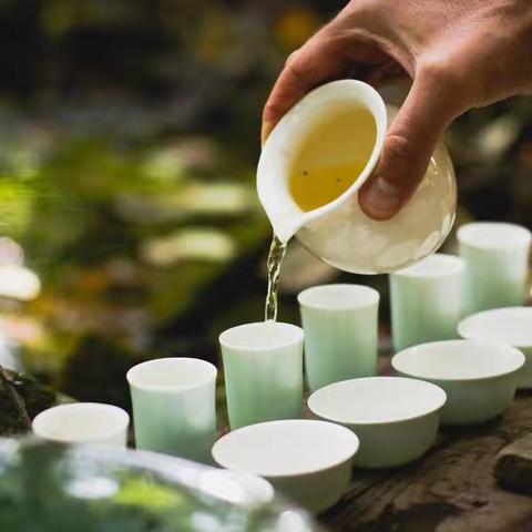 浮生若茶，甘苦一念——关于茶🍵