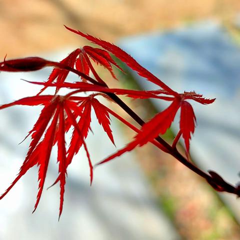 尊重人的最高境界