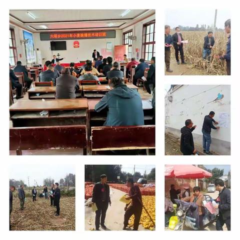 基层农技推广体系改革与建设补助项目～～97名技术员指导 秋收麦播、畜禽养殖