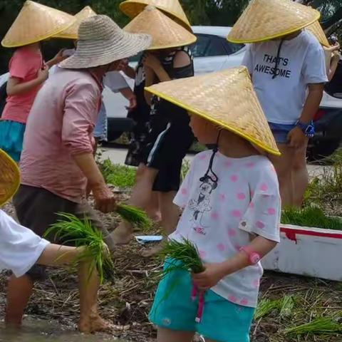 五向少年心向党，乐享“五彩”欢乐夏