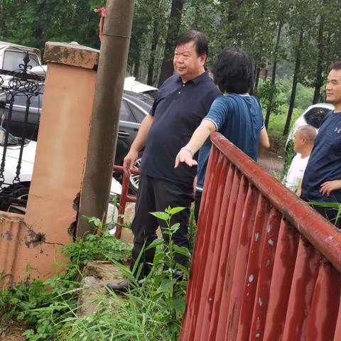 平原组组长武为明带队到成安县、肥乡区再次核查防汛工作