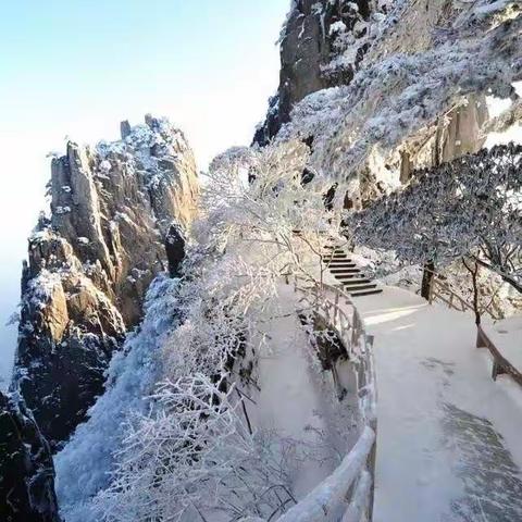 愤慨今年北方无雪