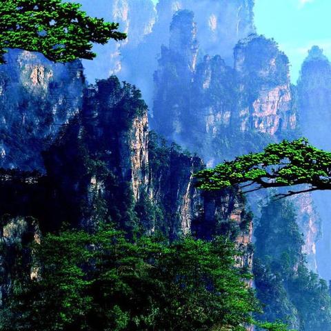 山水张桂逍遥游