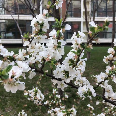 时光不老岁月静好——我的2018年