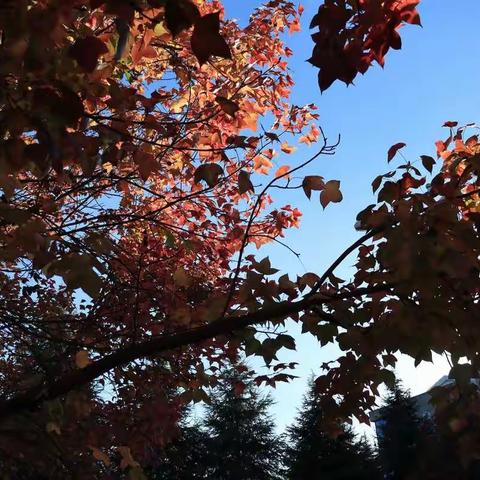 20小教二班班刊第三十四期