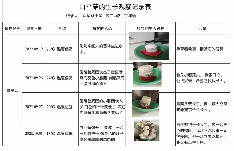 —🍄秦都区中华路小学学生蘑菇种植简讯🍄
