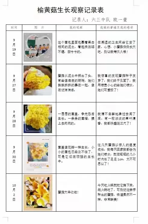 —🍄秦都区中华路小学学生蘑菇种植简讯🍄