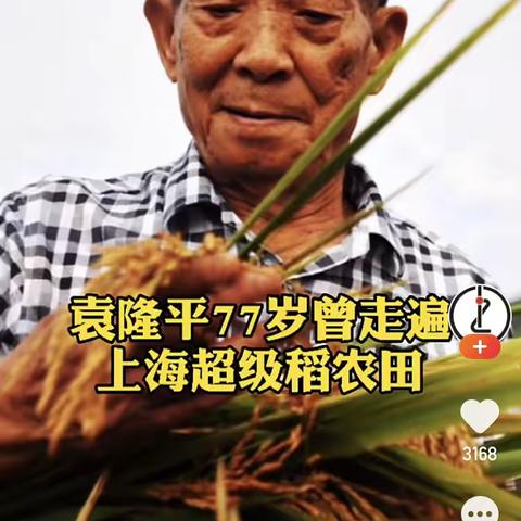 20电商二班——沉痛悼念袁隆平院士