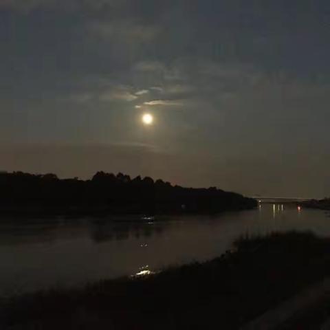 写在一年中到来的七夕