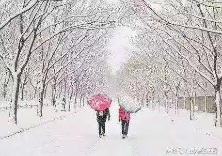 麟游县两亭初级中学暴雪天气告家长书