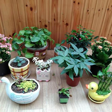 【新城学前.童乐幼儿园】～大二班，玩转区角，体验快乐