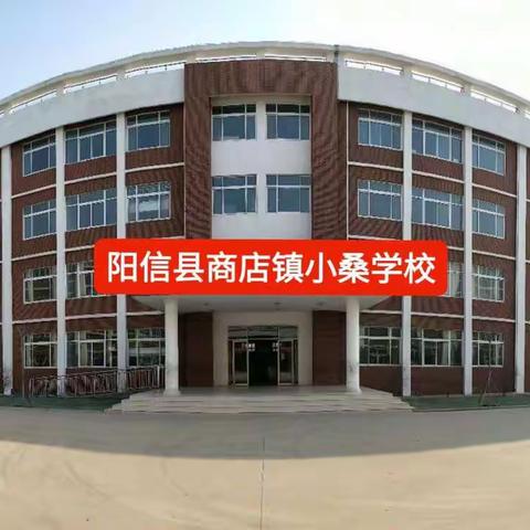 小桑学校线上教学第一周纪实——学在当下，温暖前行