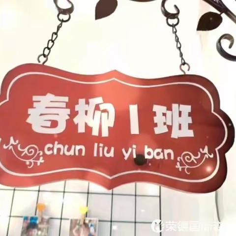 春风十里，不如有“你”——荣德国际森林幼儿园春柳一班二月精彩呈现