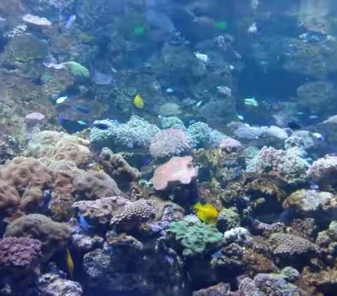 在路上( ´▽` )ﾉ