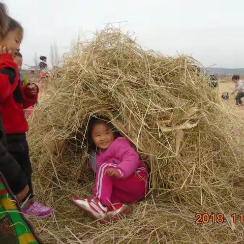 博彩幼儿园野外课程