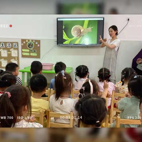 班本课程“遇见蜗牛”——四安幼儿园小三班