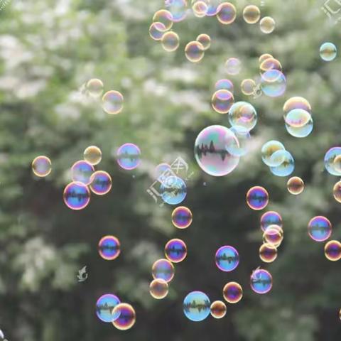 【高新教育】一叶知秋，戏玩泡泡——高新区第十八幼儿园中班活动剪影