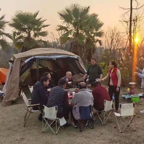 帐 篷 里 的 城 里 人一一20230129～0201绿塘河