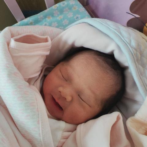 虎 妞 诞 生（小岁穗）