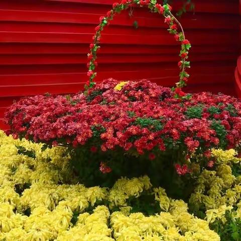 喜迎国庆72周年——手机拍摄之二