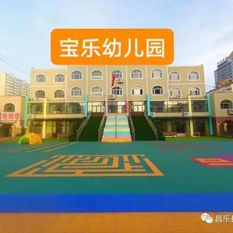 宝乐幼儿园12.12～12.16中班线上指导精彩回顾