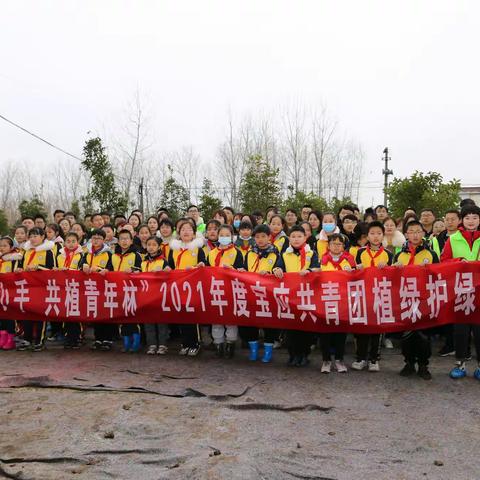 植树节来了，宝应公路青年造林绿化12年不曾缺席